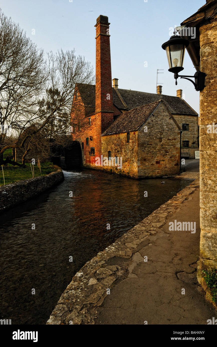 How Old Is Levi Ackerman In Oshi No Ko? He Is Not